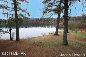4599 S Spruce Ave, White Cloud, MI 49349 photo 25