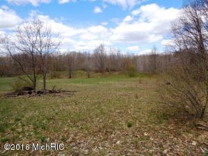 2876 N Alger Ave, White Cloud, MI 49349 photo 18