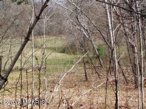 2876 N Alger Ave, White Cloud, MI 49349 photo 16