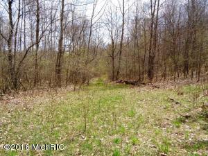 2876 N Alger Ave, White Cloud, MI 49349 photo 15