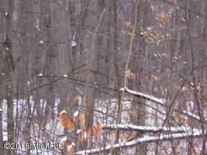2876 N Alger Ave, White Cloud, MI 49349 photo 19