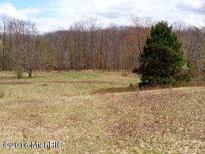 2876 N Alger Ave, White Cloud, MI 49349 photo 17