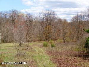 2876 N Alger Ave, White Cloud, MI 49349 photo 14