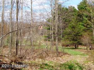 2876 N Alger Ave, White Cloud, MI 49349 photo 13