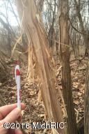 2731 E South St, Jackson, MI 49201 photo 8
