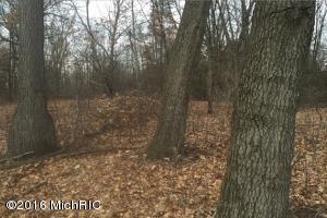 2731 E South St, Jackson, MI 49201 photo 4