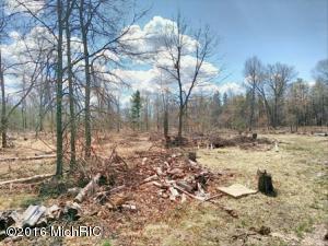 1513 W Pine Tree Rd, Baldwin, MI 49304 photo 17