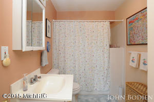 7233 Bordeau Dr NE, Belding, MI 48809 photo 19