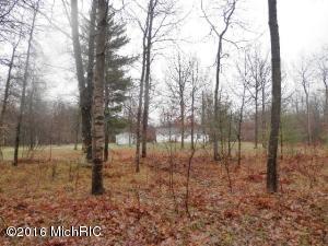 3347 Warfield Rd, Harrietta, MI 49638 photo 32