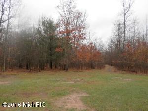 3347 Warfield Rd, Harrietta, MI 49638 photo 34