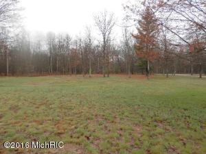 3347 Warfield Rd, Harrietta, MI 49638 photo 33