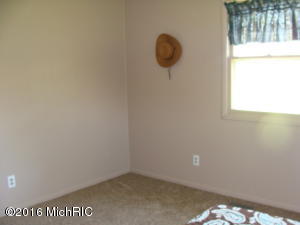 8701 Murphy Rd, Lyons, MI 48851 photo 14