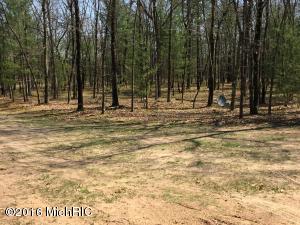 728 E 17 Mile Rd, Bitely, MI 49309 photo 5