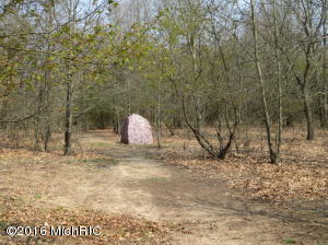 6169 N Whites Bridge Rd, Belding, MI 48809 photo 22