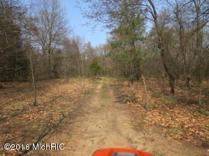 6169 N Whites Bridge Rd, Belding, MI 48809 photo 19