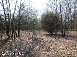 6169 N Whites Bridge Rd, Belding, MI 48809 photo 20