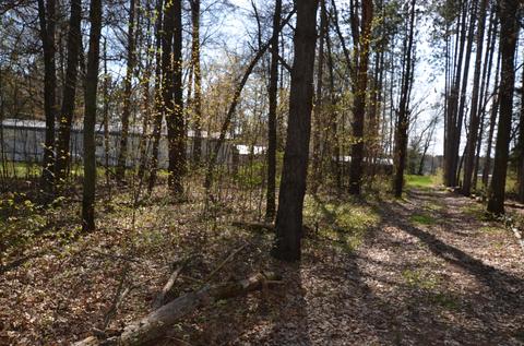 589 S Baldwin Ave, White Cloud, MI 49349 photo 11