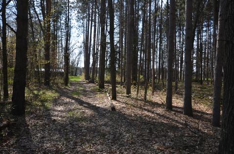 589 S Baldwin Ave, White Cloud, MI 49349 photo 8