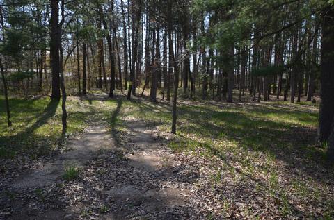 589 S Baldwin Ave, White Cloud, MI 49349 photo 6