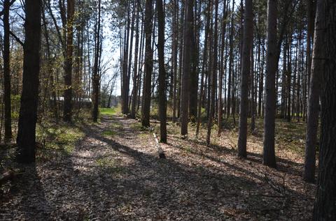 589 S Baldwin Ave, White Cloud, MI 49349 photo 9