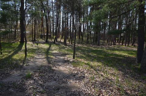 589 S Baldwin Ave, White Cloud, MI 49349 photo 7