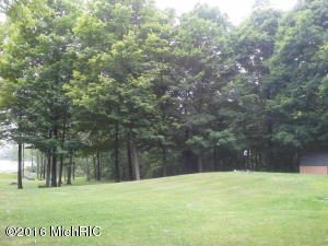 98 Thelen, Gobles, MI 49055 photo 6