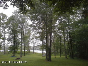 98 Thelen, Gobles, MI 49055 photo 4