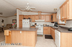 98 Thelen, Gobles, MI 49055 photo 9