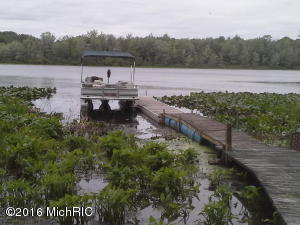 98 Thelen, Gobles, MI 49055 photo 3