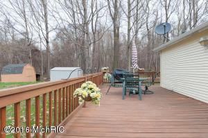 98 Thelen, Gobles, MI 49055 photo 17