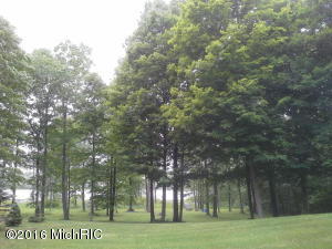 98 Thelen, Gobles, MI 49055 photo 5