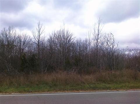 60 Th St, Pullman, MI 49450 photo 1