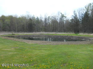 7124 E Pakes Rd, Crystal, MI 48818 photo 15