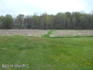 7124 E Pakes Rd, Crystal, MI 48818 photo 14
