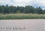 342 White Pine Ct, Belding, MI 48809 photo 9