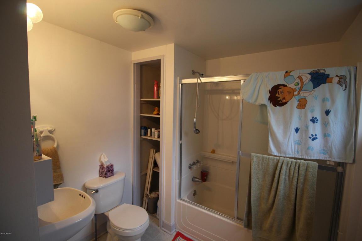249 S Robinson St, Lyons, MI 48851 photo 7