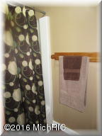 12352 Abbott St NE, Belding, MI 48809 photo 31