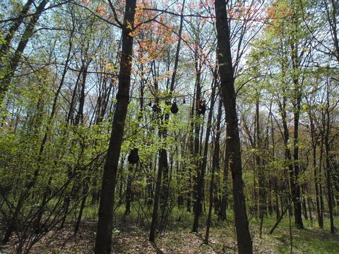 1900 N Elm Ave, White Cloud, MI 49349 photo 9