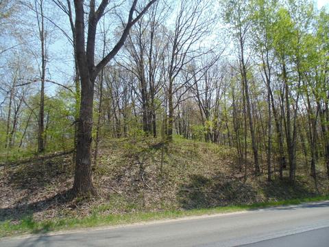 1900 N Elm Ave, White Cloud, MI 49349 photo 2