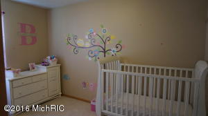 1017 Allen Ct, Plainwell, MI 49080 photo 9