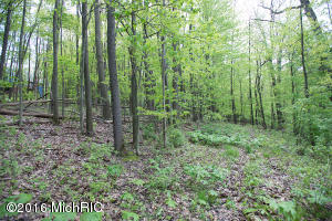 14534 Kane Rd, Plainwell, MI 49080 photo 29