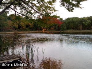 8139 E 3 Mile Rd, White Cloud, MI 49349 photo 9