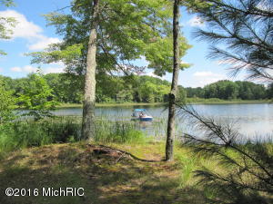 8139 E 3 Mile Rd, White Cloud, MI 49349 photo 10
