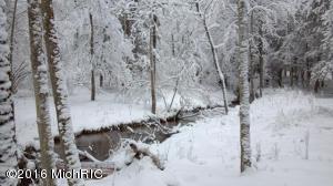 531 N Ferris Ave, White Cloud, MI 49349 photo 20