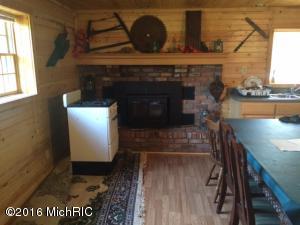531 N Ferris Ave, White Cloud, MI 49349 photo 5