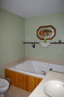 426 Irish St, Lyons, MI 48851 photo 6