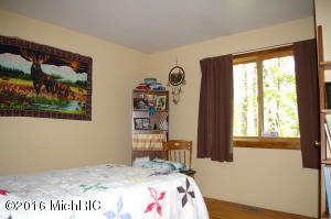 426 Irish St, Lyons, MI 48851 photo 8