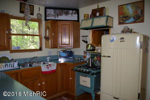 426 Irish St, Lyons, MI 48851 photo 9