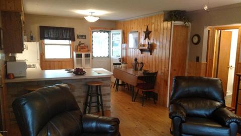 1399 Shepard St, Crystal, MI 48818 photo 16