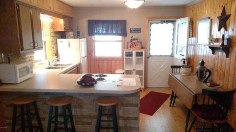 1399 Shepard St, Crystal, MI 48818 photo 19